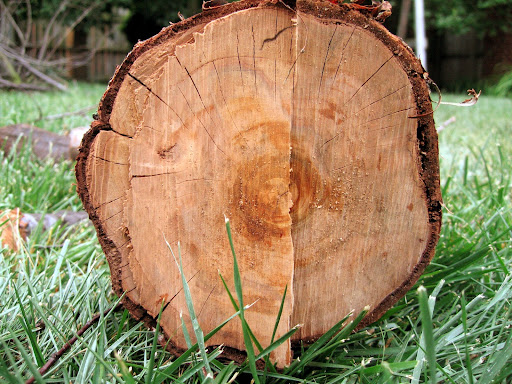 Cherry Hardwood Flooring